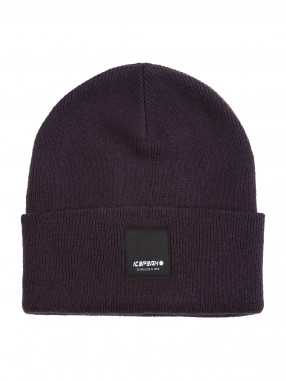 ICEPEAK Fes iarna Harcourt