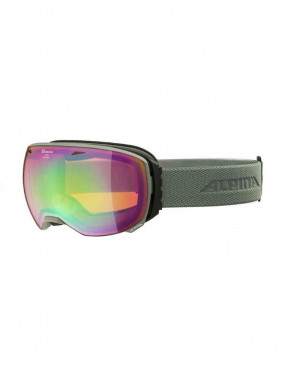 ALPINA BIG HORN Q-LITE Ski goggles