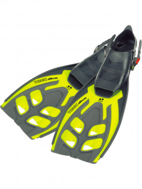 SALVAS Labe Inot Tonic Dive