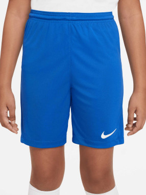 NIKE DRI-FIT PARK III BIG KIDS SHORTS