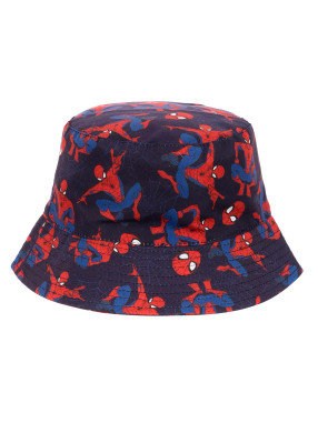 KIDS MOVIE HEROES SPIDERMAN Hat