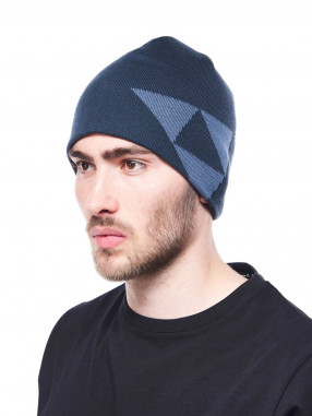 FISCHER Fes Logo-Reversible