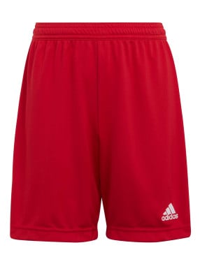 ADIDAS PERFORMANCE Къси панталони Entrada 22