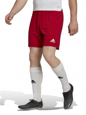 ADIDAS TEAM Entrada 22 Shorts
