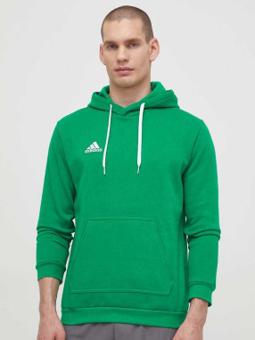 ADIDAS PERFORMANCE Μακρυμάνικη Μπλούζα Entrada 22 Sweat