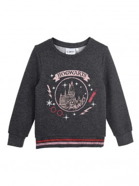 KIDS MOVIE HEROES HARRY POTTER Sweatshirt