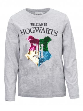 KIDS MOVIE HEROES HARRY POTTER Sweatshirt