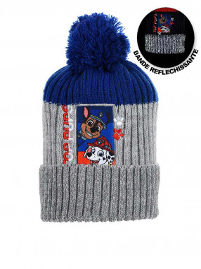 SUN CITY Fes Paw Patrol