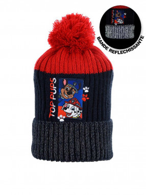 SUN CITY Fes Paw Patrol