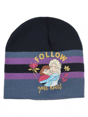 KIDS MOVIE HEROES Fes Frozen