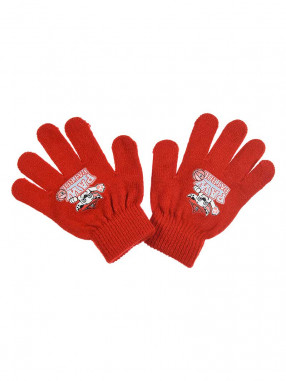 KIDS MOVIE HEROES PAW PATROL Gloves
