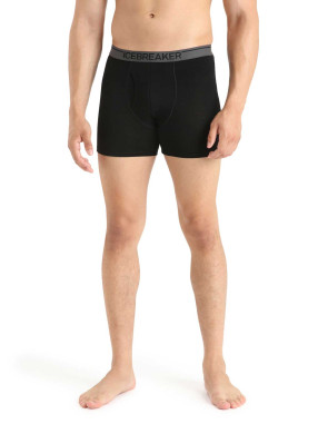 ICEBREAKER Αθλητικά Εσώρουχα M Anatomica Boxers wFly