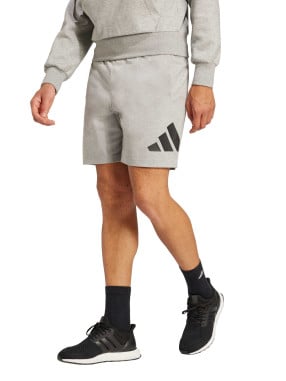 ADIDAS SPORTSWEAR Къси панталони Essentials Big Logo Single Jersey