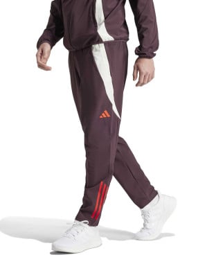 ADIDAS PERFORMANCE Αθλητικό Παντελόνι FC Bayern Tiro 24 Presentation