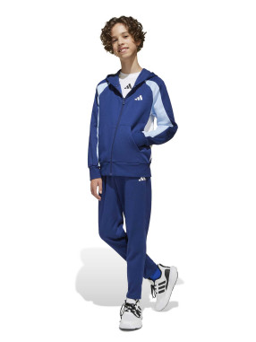 ADIDAS SPORTSWEAR Спортен екип Seasonal Essentials Colorblock