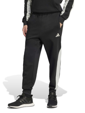 ADIDAS SPORTSWEAR Αθλητικό Παντελόνι Seasonal Essentials Colorblock