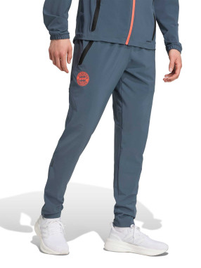 ADIDAS PERFORMANCE Спортно долнище FC Bayern Tiro 25 Competition