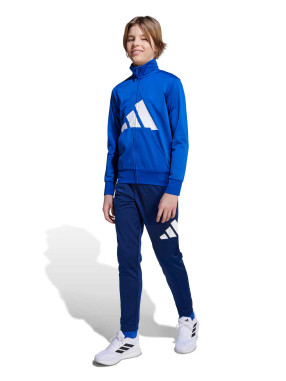 ADIDAS SPORTSWEAR Спортен екип Essentials CLIMACOOL Track Suit Kids