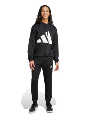 ADIDAS SPORTSWEAR Trening Sportswear Big Logo
