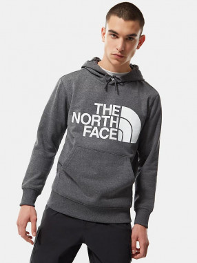 the north face n