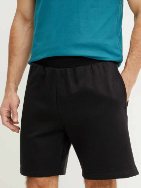 THE NORTH FACE Pantaloni scurti M Easy Regular