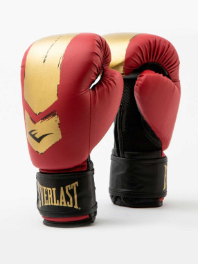 EVERLAST Rukavice za boks Prospect 2