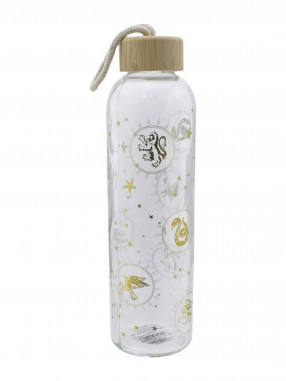 KIDS MOVIE HEROES Sticla de sticla Harry Potter