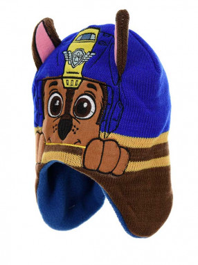 SUN CITY Fes Paw Patrol