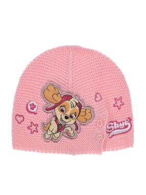 KIDS MOVIE HEROES Fes Paw Patrol