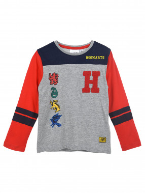 KIDS MOVIE HEROES Bluza Harry Potter