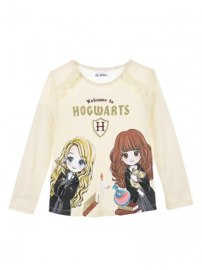 KIDS MOVIE HEROES Bluza Harry Potter