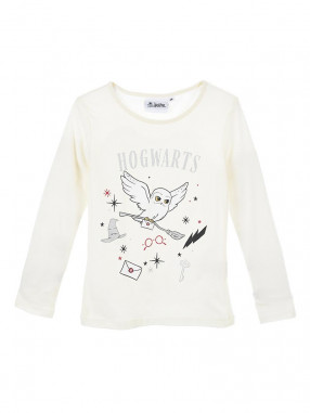 KIDS MOVIE HEROES Bluza Harry Potter