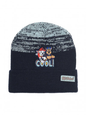 KIDS MOVIE HEROES Fes Paw Patrol