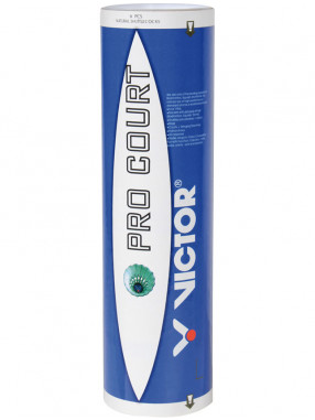VICTOR 