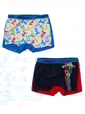 KIDS MOVIE HEROES HARRY POTTER Boxers