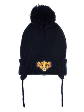 KIDS MOVIE HEROES Fes Lion King