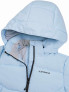 ICEPEAK