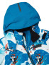 ICEPEAK