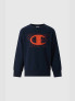 CHAMPION