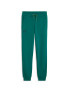 PUMA Спортно долнище AMF1 Essential Sweat Pants