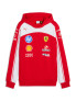 PUMA Суитшърт SF Replica Hoodie