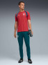 PUMA Тениска FPF Training Jersey