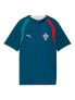 PUMA Тениска FPF Training Jersey Jr