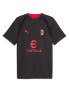 PUMA Тениска ACM Training Jersey