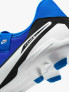 NIKE Обувки LEGEND 10 ACADEMY FG/MG