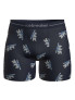 ICEBREAKER Боксерки Men M 150 Anatomica Boxers BearTourAOP