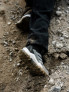 ADIDAS Обувки Terrex Ax4r Mid Hiking