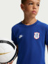 NIKE Тениска CFC U NK PREMIER TEE