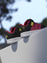 ADIDAS Обувки LIGHTORAMA COURT INFANTS