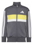ADIDAS Спортен екип SEASONAL ESSENTIALS TIBERIO